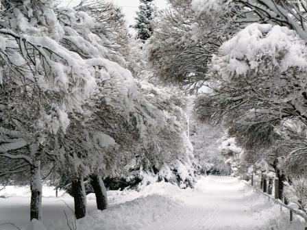 ANCORA LA BUFERA DI NEVE 3.jpg