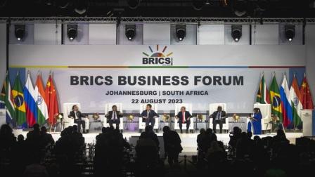 BRICS APRE LE PORTE.jpg