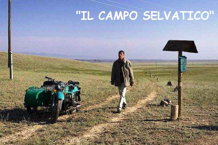 Il Campo Selvatico 2.jpg