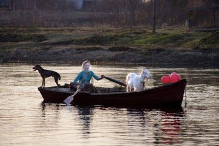 IL VIAGGIO CON GLI ANIMALI DOMESTICI 6.jpg