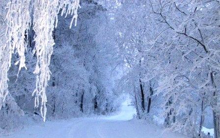 LE TORMENTE HANNO INNEVATO LE STRADE 4.jpg